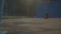 do professional vfx compositing for your shots