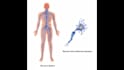 do professional medical illustrations for you
