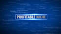 research most highly profitable ebay niche