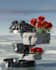 create a unique 3d surreal album cover or animation