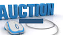 create wordpress auction bidding website, auction website, multivendor website