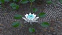 jewelry cgi 3d rendering