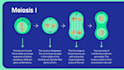 create education powerpoint presentation design for teachers, students and kids