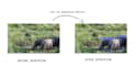do image annotation of multiple classes, labelling of images