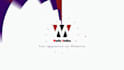 create custom logo animation or youtube intro and outro