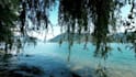 professionally make relaxing nature sounds