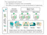 facilitate your structured organizational debriefing