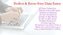 do perfect data entry,  web search copy paste, convert PDF