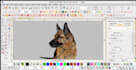 custom live image digitizing for embroidery in top quality