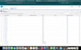 salesforce data import, export and data cleaning