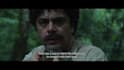edit a film trailer that closes distribution deals