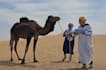 create a happy birthday video from the sahara desert