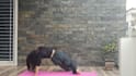 teach kids yoga online