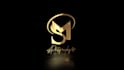 create professional logo animation for photography and videography