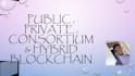 do research ico whitepaper and blockchain technology tasks