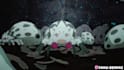 produce full anime recaps with script writing and video editing
