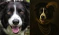 create a custom renaissance royal pet portrait