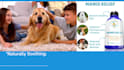 create amazon listing images and enhance brand content a plus content ebc design