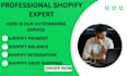professionally setup shopify payment and balance