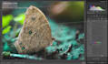 edit and retouch pictures in adobe lightroom