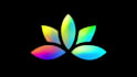 create 2d motion graphics and logo animations