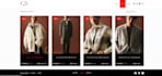 develop a wordpress website design with e commerce