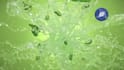 create 3d water simulation, liquid animation, 3d product animation