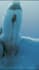 provide whale sounds for commercial use