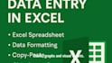 do accurate excel data entry, cleaning, and formatting