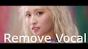 professionally remove or isolate vocals or instruments from song or audio