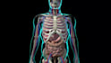 do 3d medical visualisation