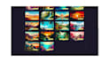 create lottie HTML css javascript svg website animations front end full stack