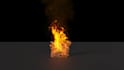 do fire and smoke simulations