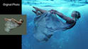 animate your photos and artworks