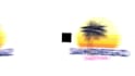 create 2d motion graphics animated videos
