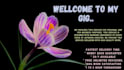 do embroidery digitizing in 1 hours