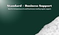 be your executive virtual assistant
