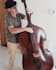 do really cool double and electric bass tracks for you