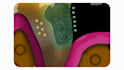 create dental illustrations for research papers, books