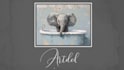 create a stylish handwritten signature text logo animation
