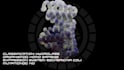 create biological protein visualization