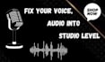 professional audio cleaning and voice cleanup  studio quality