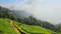 be your guide in exploring india rich culture