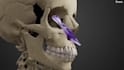 create 3d product animation video for your business