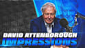 do an incredible david attenborough impression