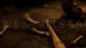 create 3d models,3d cinematics and professional scenes