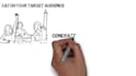 create  stunning whiteboard animation video