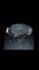 make 3d water ocean simulation 3d cloth simulation 3d fire simulation houdini fx