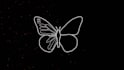 draw unique continuous line art animations