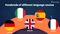 professionally translate 5 languages